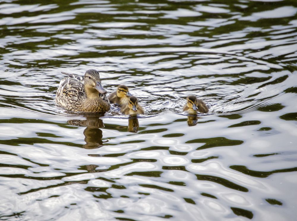 Photograph by Любовь Бусова