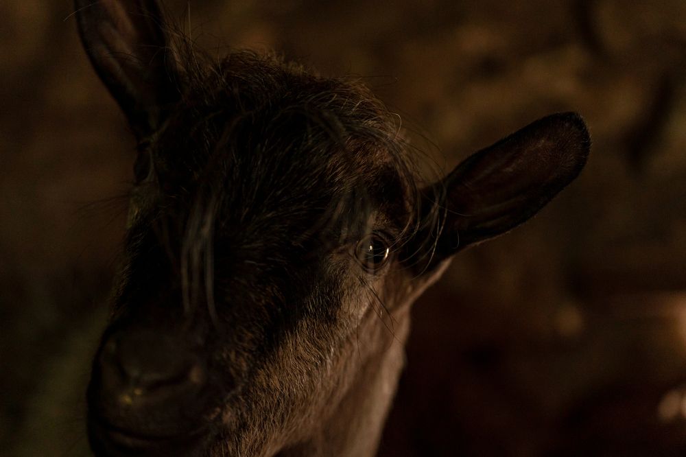 Photograph by Владимир Коновалов