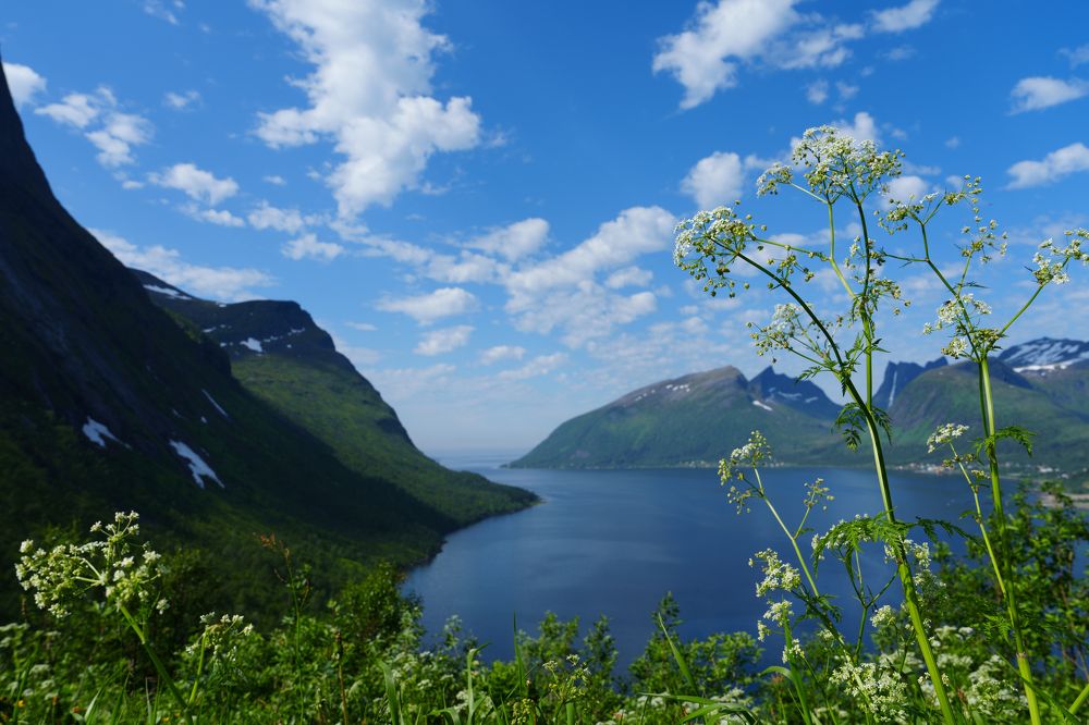 Photograph by Ilja Enger-Tsizikov