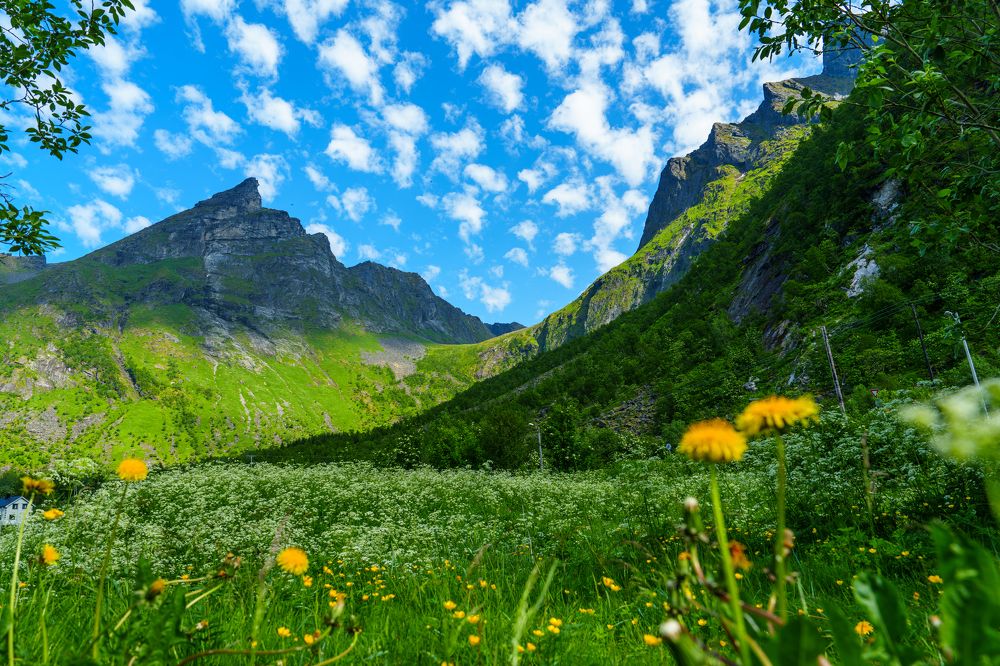 Photograph by Ilja Enger-Tsizikov