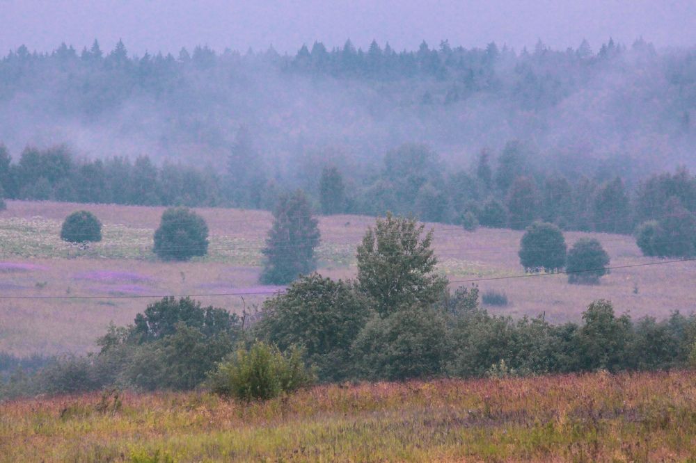 Фотография автора Elena Ku