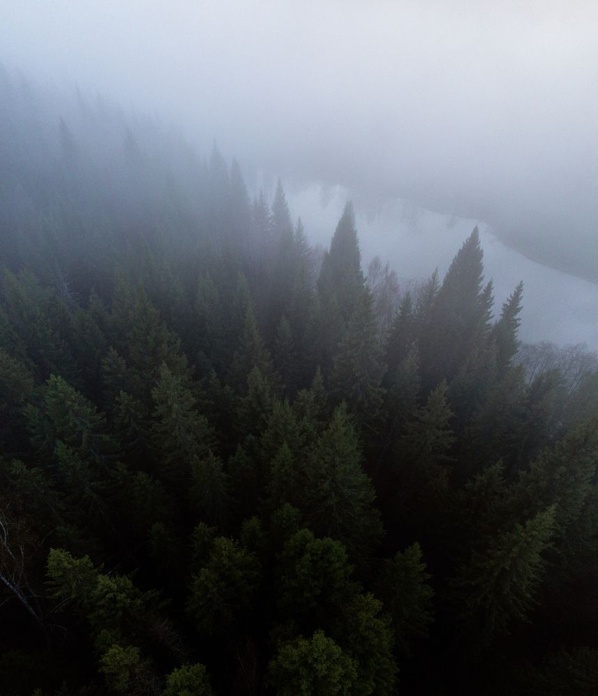 Photograph by Артём Байдаков