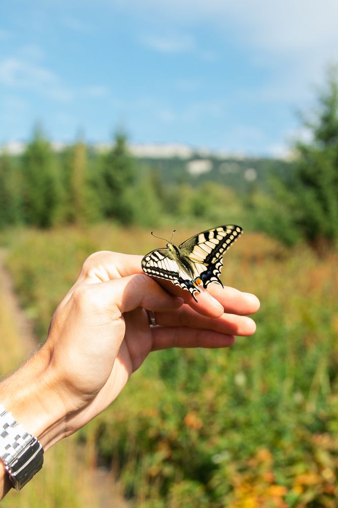 Photograph by Артём Байдаков