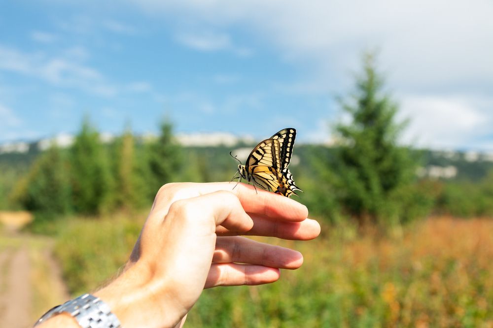 Photograph by Артём Байдаков