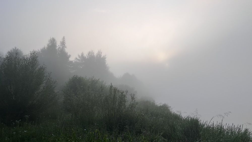 Фотография автора Наталья Васько -Черданцева