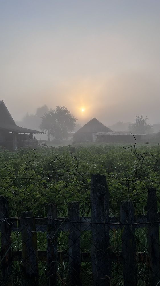 Фотография автора Наталья Васько -Черданцева