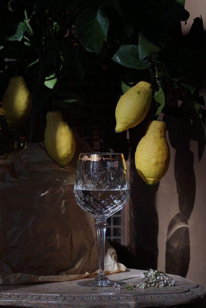 Photograph by Liubov Lagutina