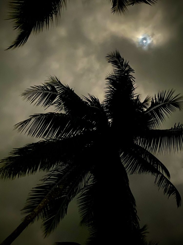 Photograph by Naveena Wimalarathne