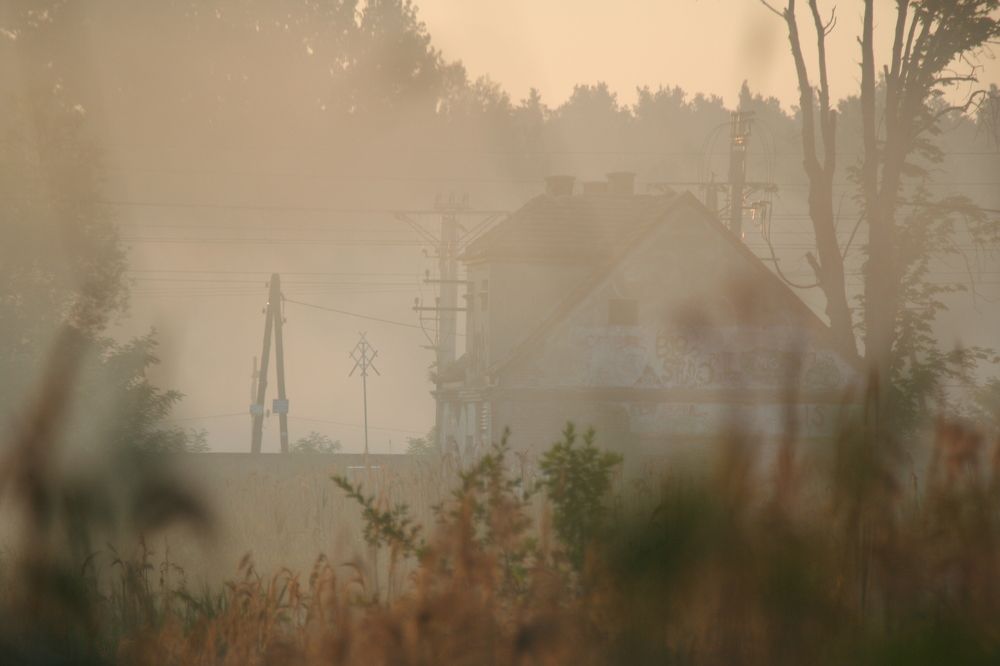 Photograph by Александр Петронюк