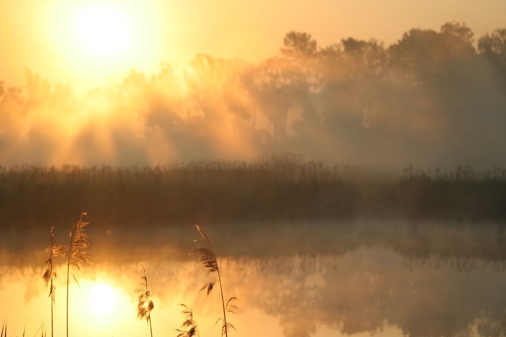 Photograph by Александр Петронюк