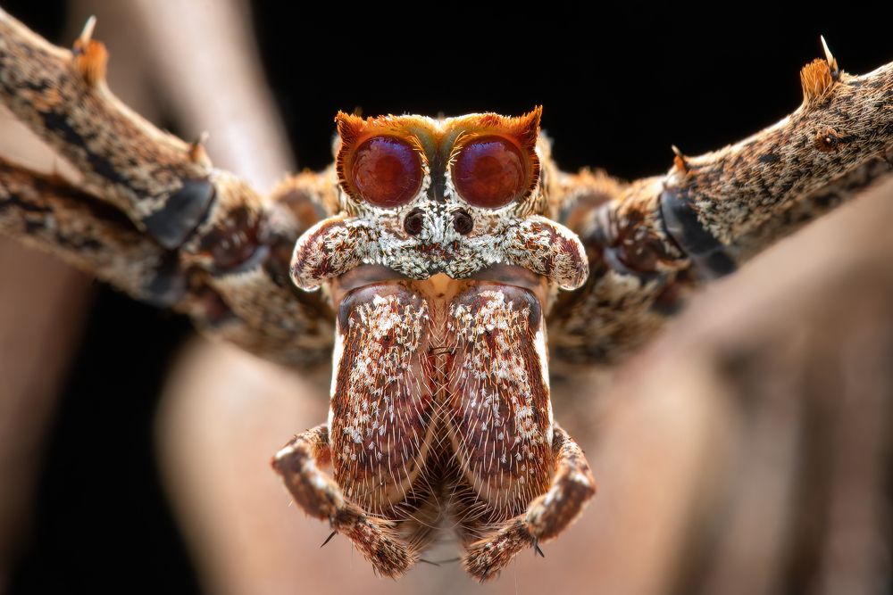 Photograph by Anson AS