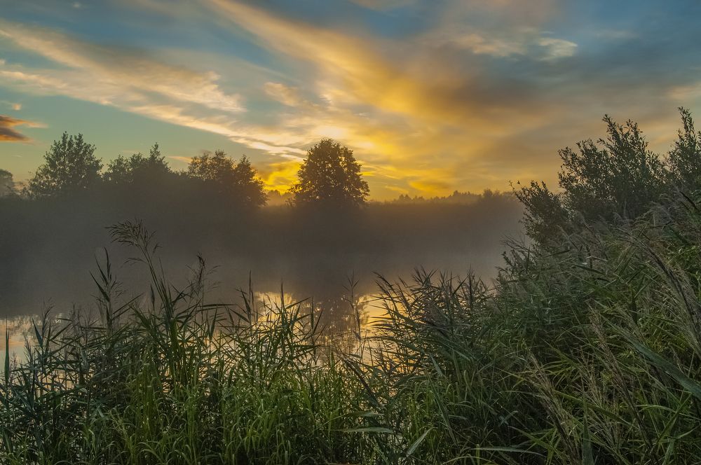 Фотография автора Михаил Пшеннов