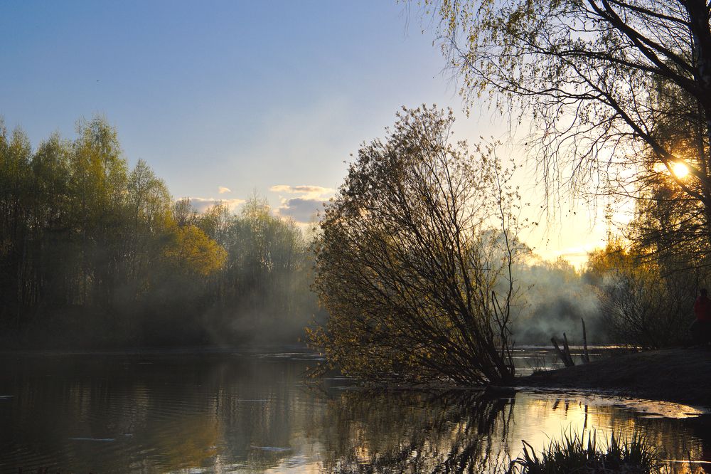 Photograph by Денис Прохоров
