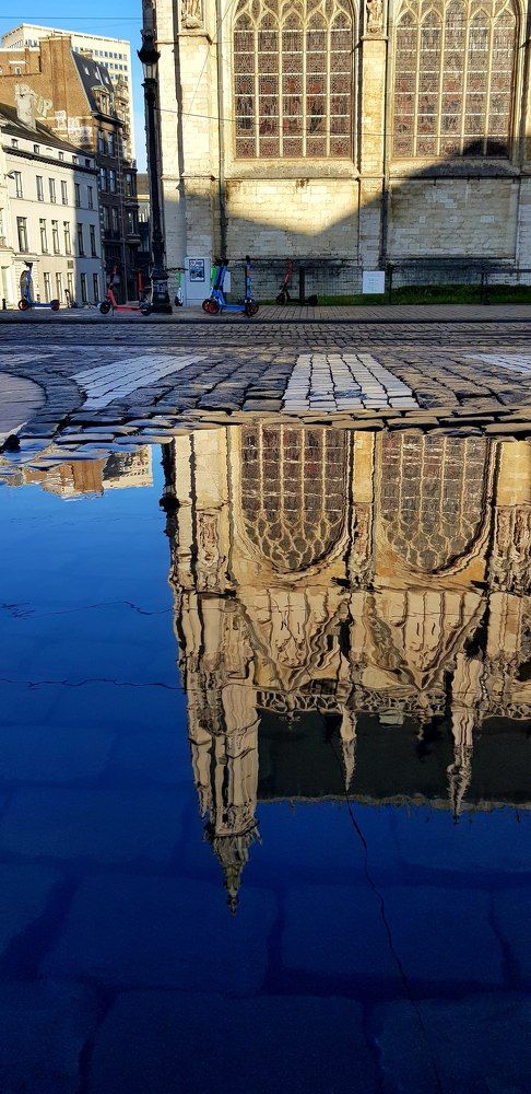 Фотография автора Ирина Зиник