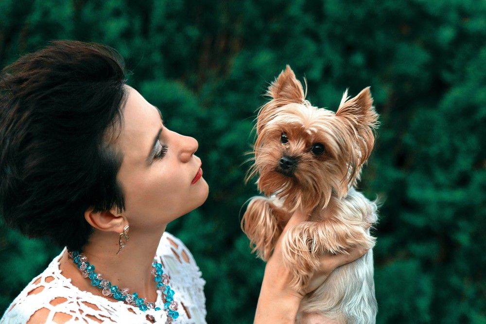 Photograph by Александра Рубан