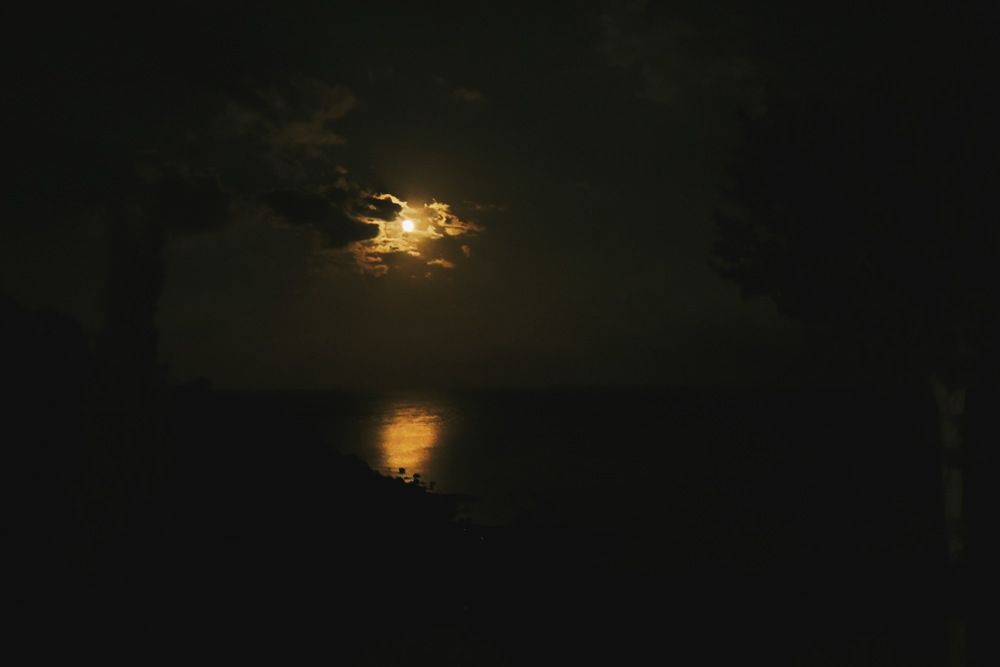 Над тёмной водой