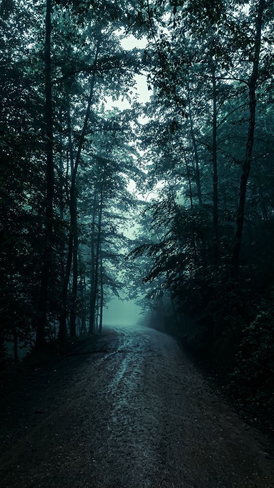 Photograph by Esmaeil ghorbani