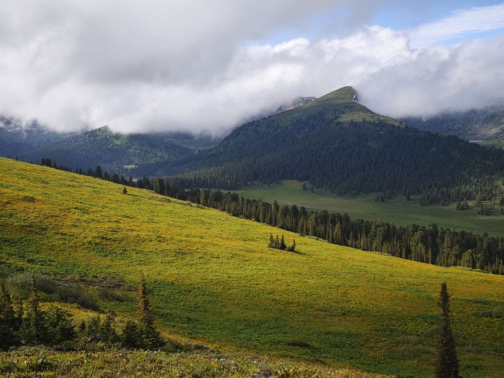 Photograph by Дмитрий Рассыльщиков