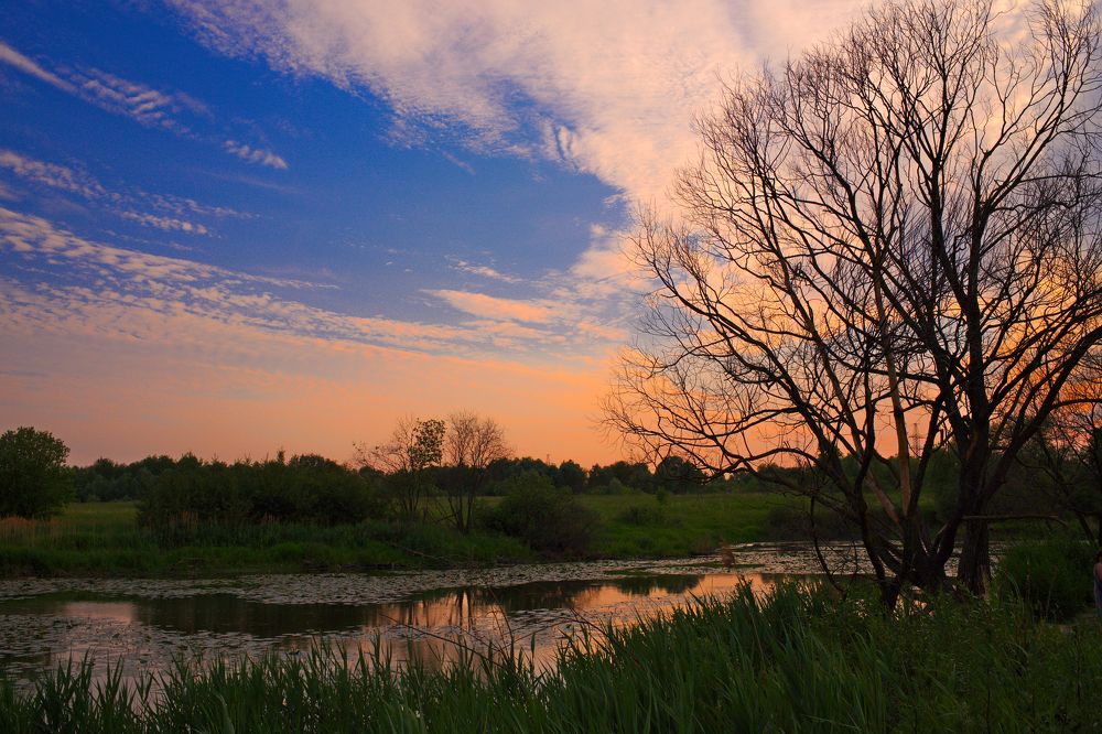 Photograph by Денис Прохоров