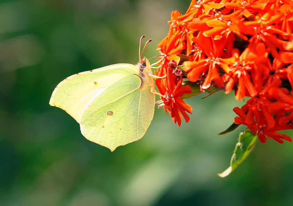 Photograph by Евгений Гонтов