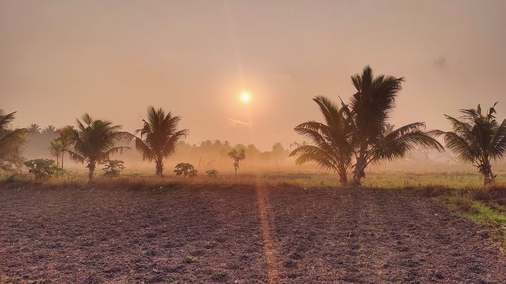 Photograph by Anunay Mistry