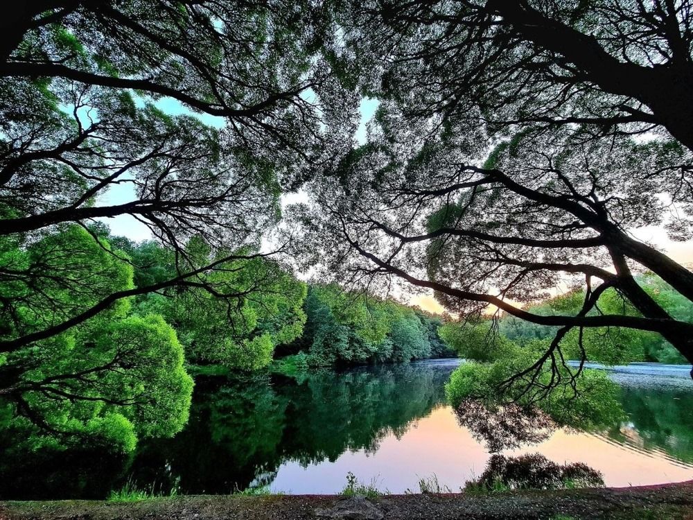 Photograph by Евгений Никонов