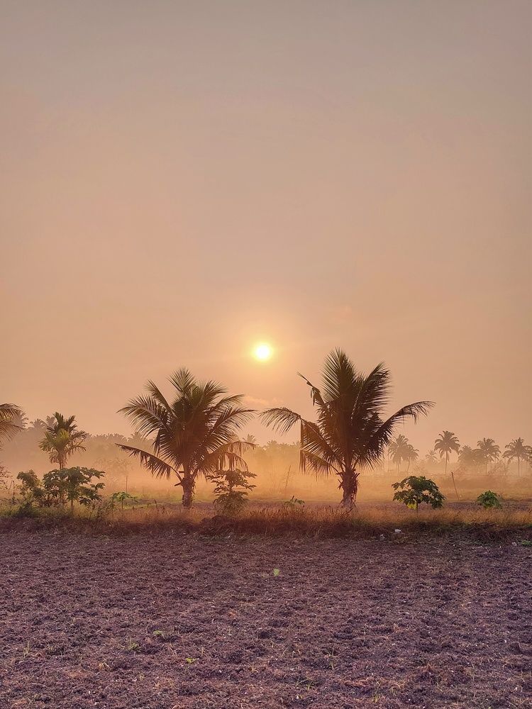Photograph by Anunay Mistry