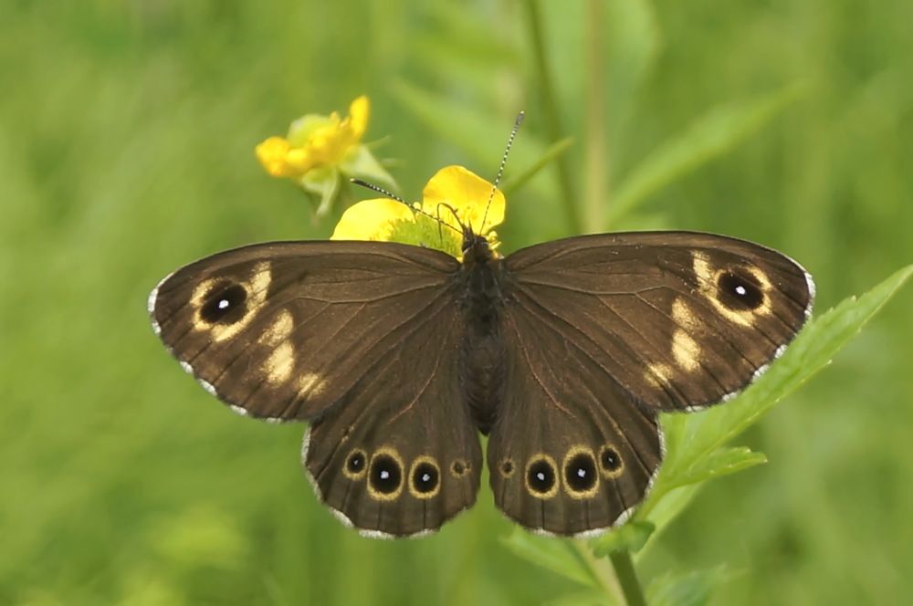 Photograph by Ольга Воронова