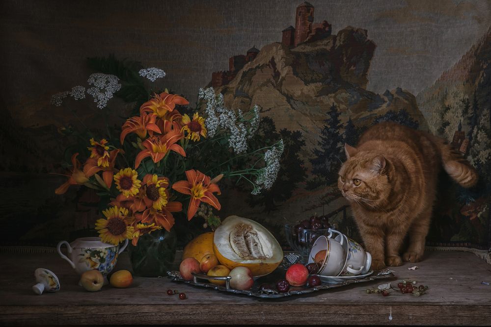 Photograph by Анна Петина