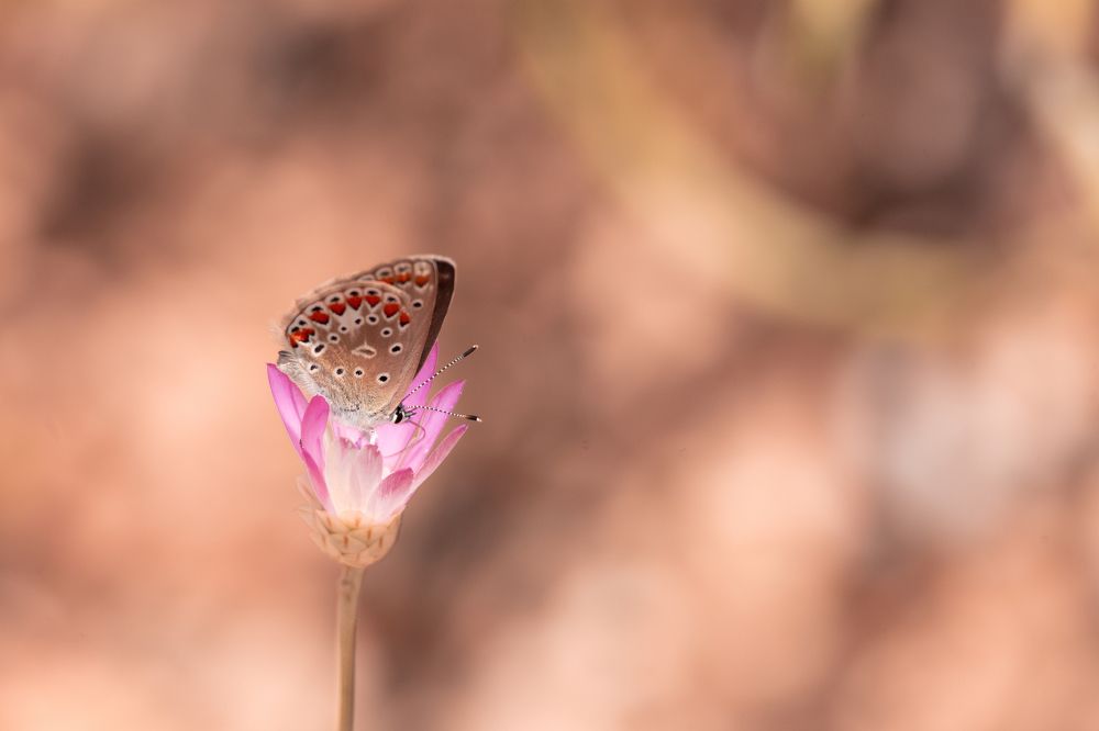 Photograph by Mahmut YILMAZ