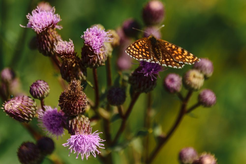 Photograph by Лилия Кондратьева
