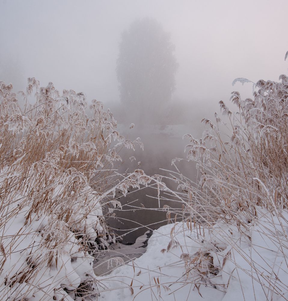 Фотография автора Ватрушкин Максим