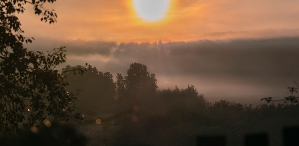 Photograph by Ольга Белова