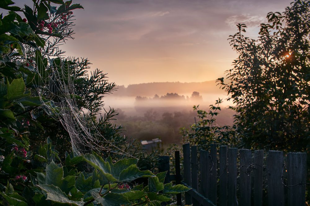 Photograph by Ольга Белова