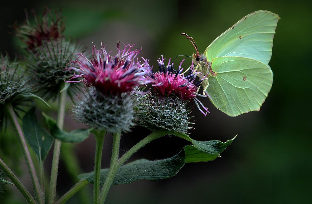 Photograph by Зоя Быкова