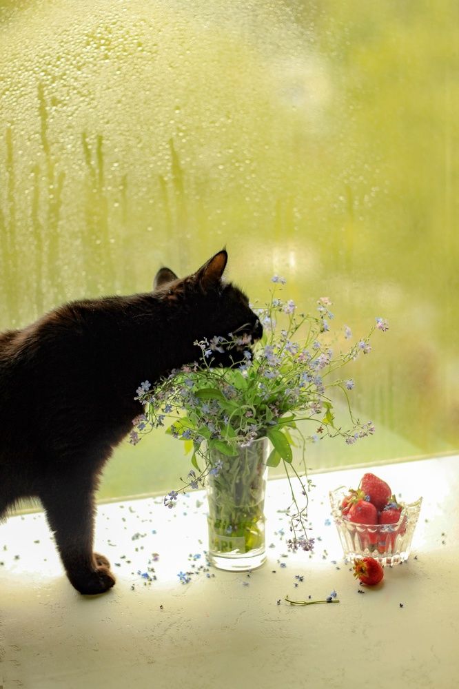 Photograph by Ольга Резникова