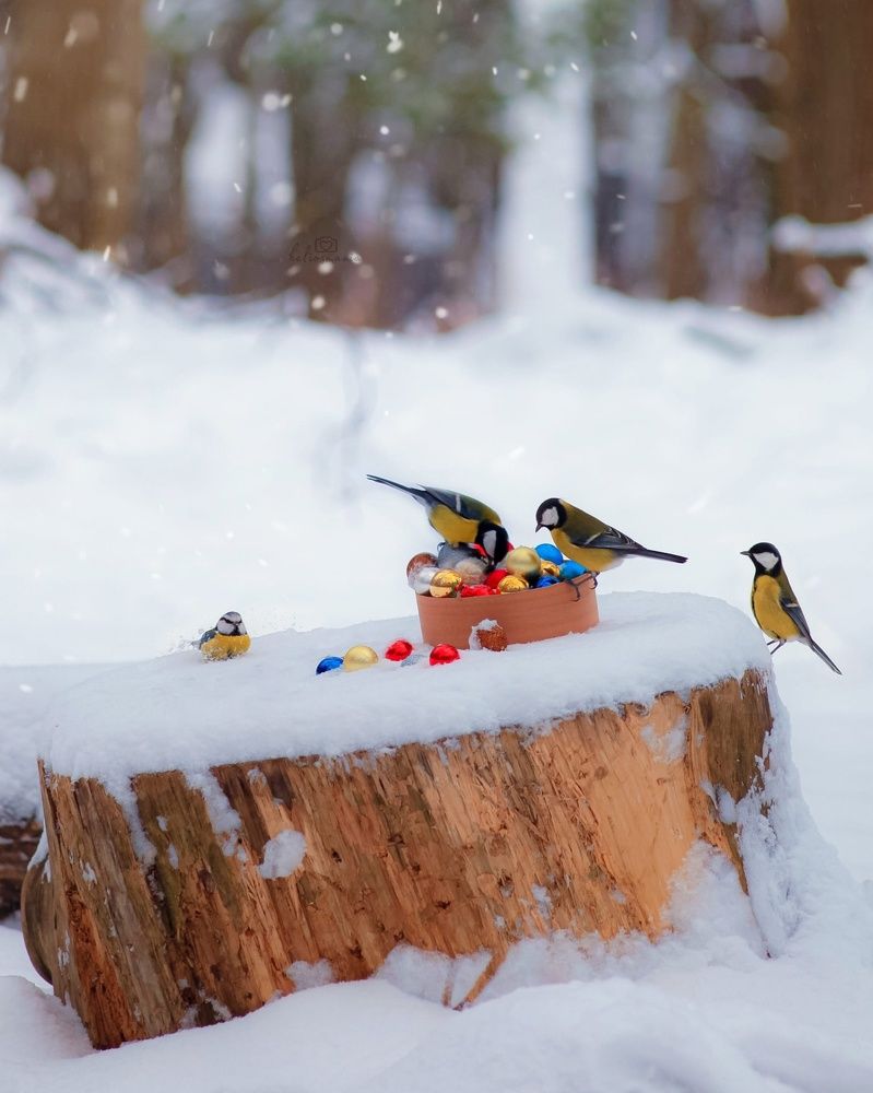 Photograph by Ольга Резникова