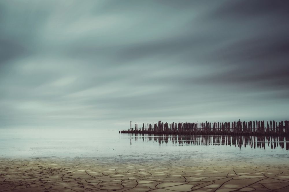 Photograph by Alireza Bagheri Sani