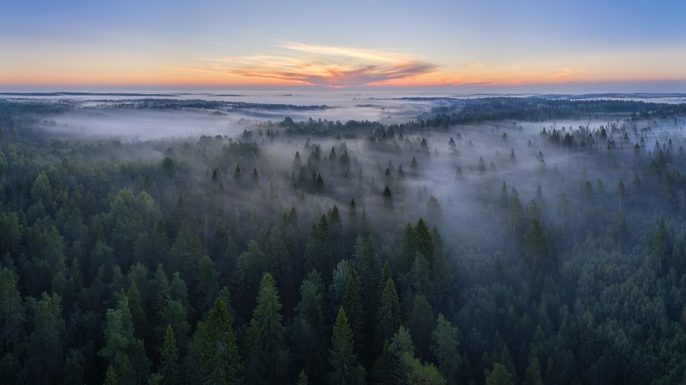 Photograph by Чехонин Александр