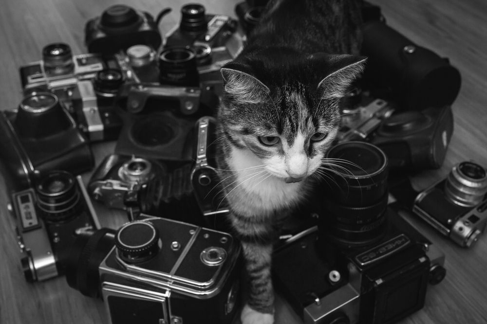 Photograph by Валентин Кольцов