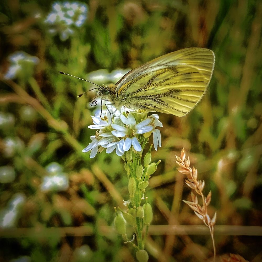 Photograph by Evgenia Privalova