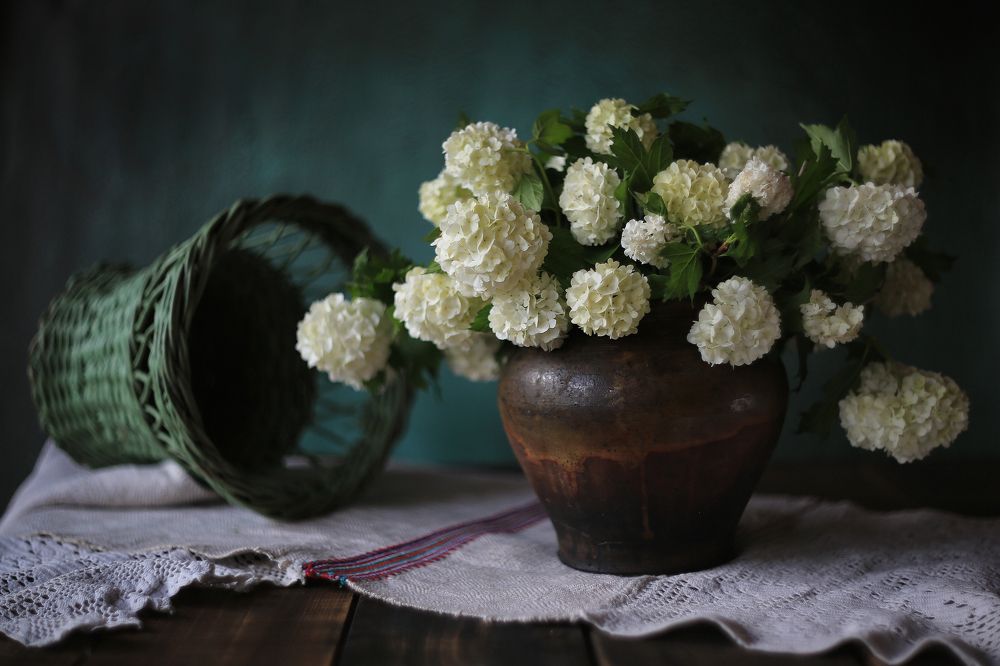 Photograph by Алена Гершфельд