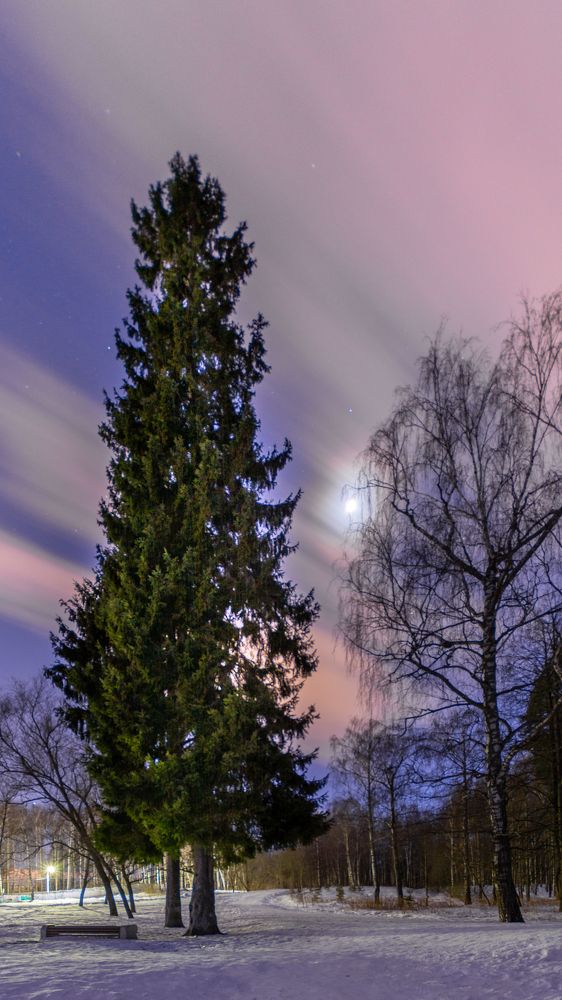 Фотография автора Илья Большаков