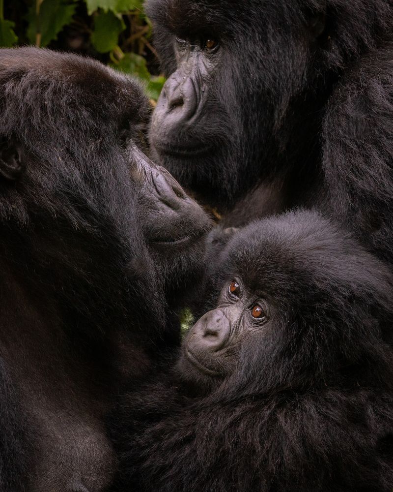 Photograph by Bevzenko Roman