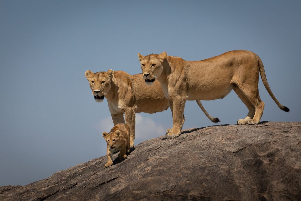 Photograph by Bevzenko Roman