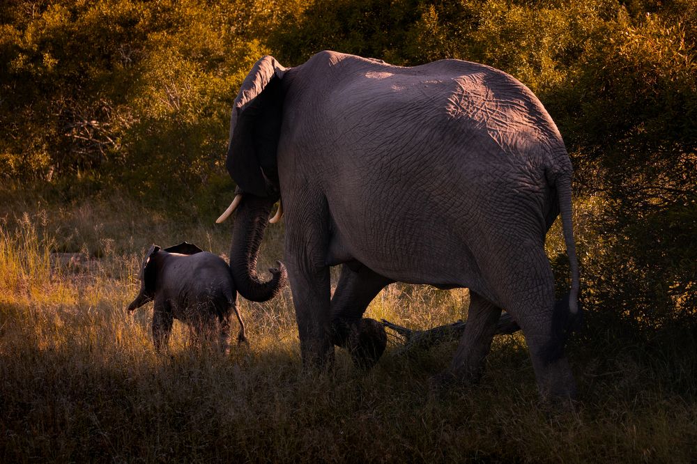 Photograph by Bevzenko Roman