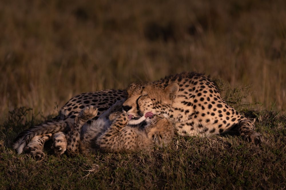 Photograph by Bevzenko Roman