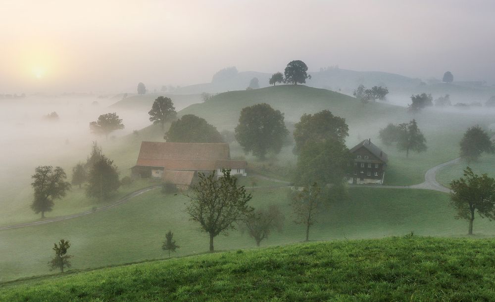 Photograph by Галина Хвостенко