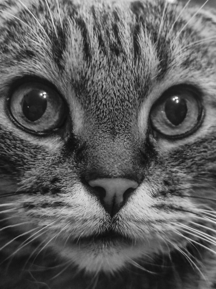 Photograph by Марина Бедрина