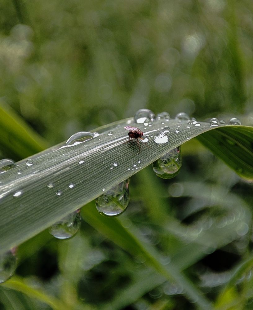Фотография автора Александр Довганюк